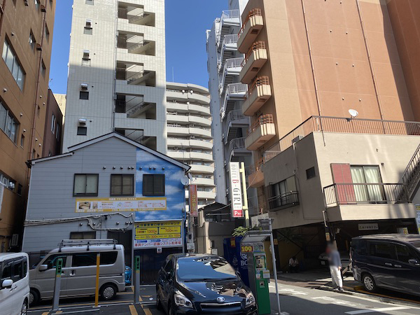 日暮里コスモス