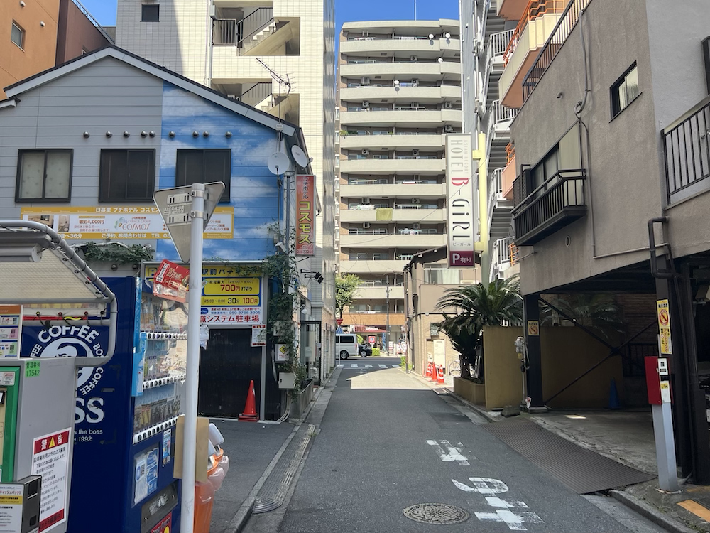 日暮里コスモス